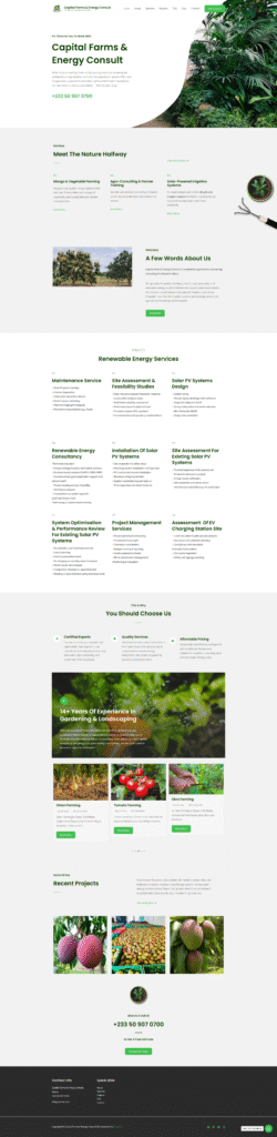 Web Developments Web-6